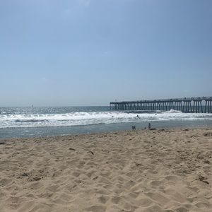 Meet your Posher, Douglas